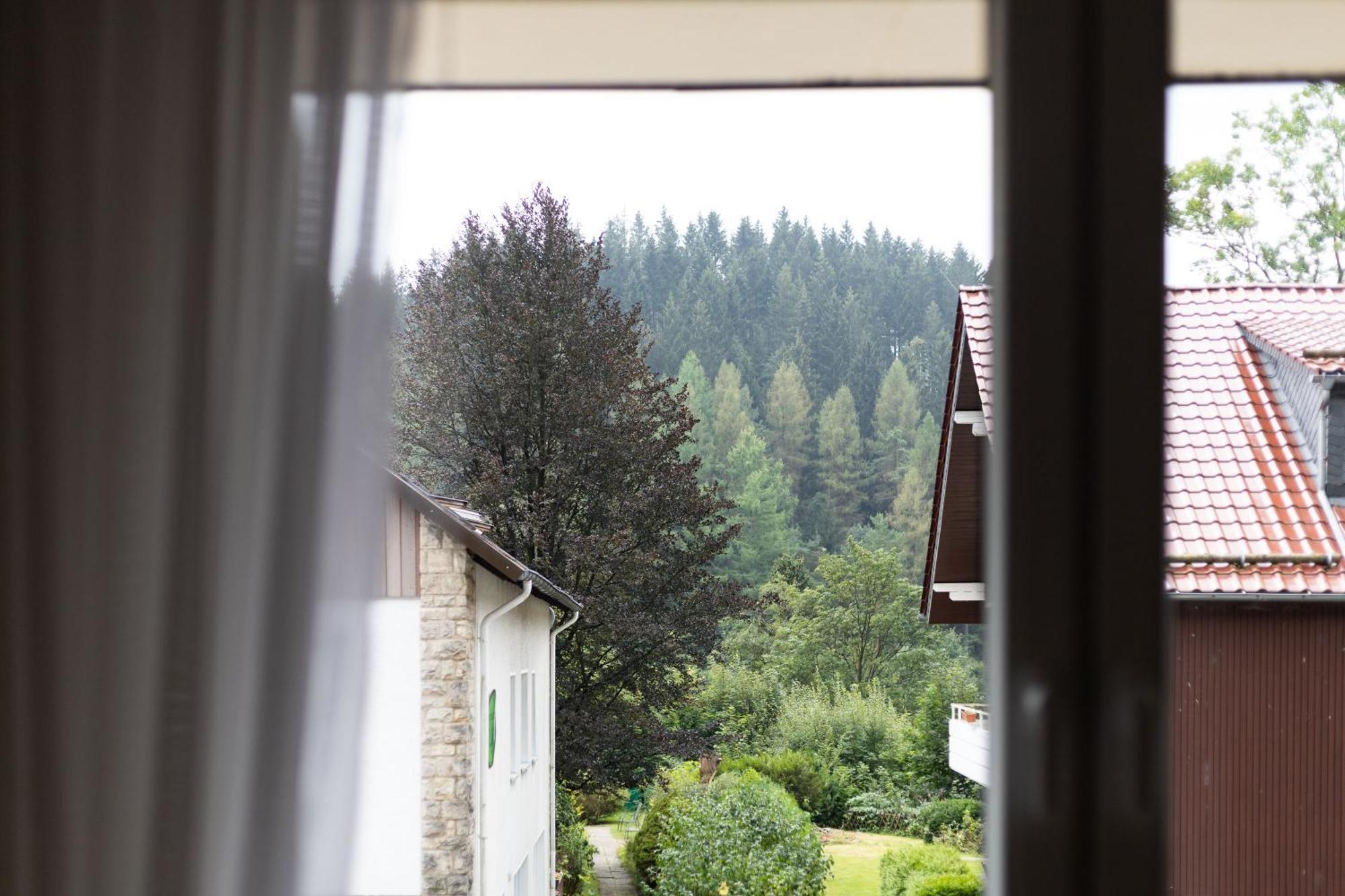 Apartmenthaus Am Waldrand- Kueche - Fruehstueck - Balkon Wildemann Eksteriør billede